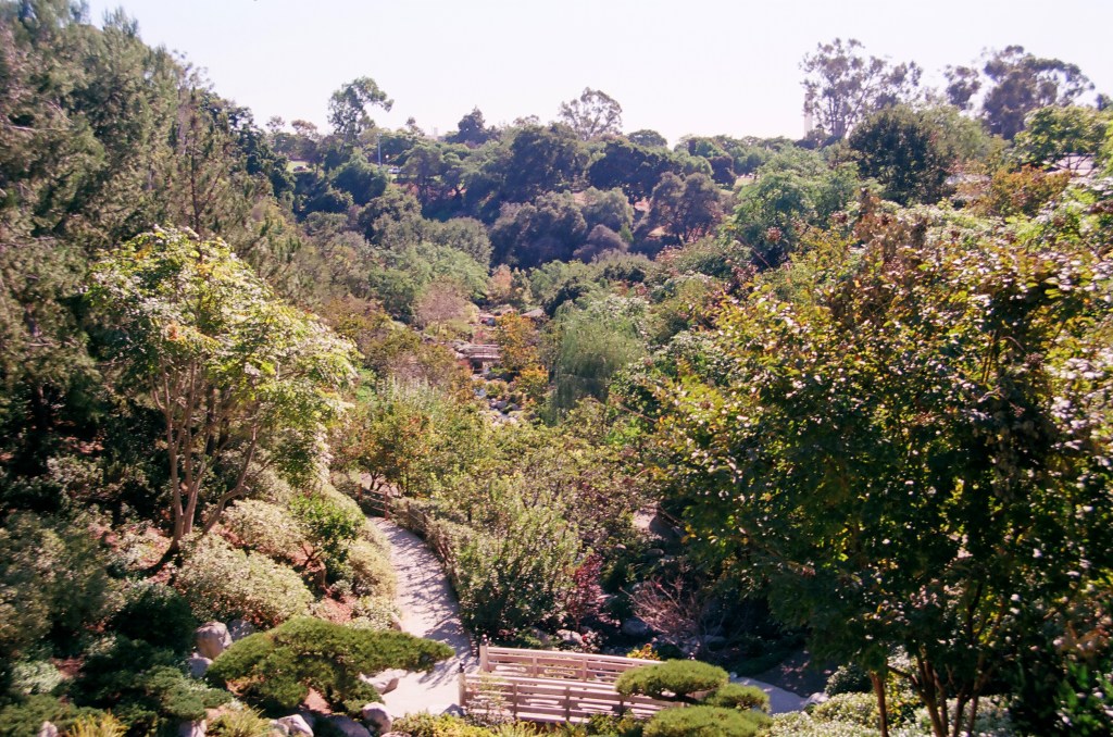 Welcome to NegroFolklore